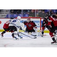 Vancouver Giants goaltender Burke Hood
