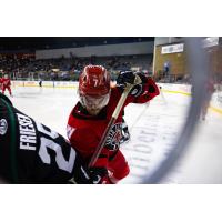 Rapid City Rush try to dig out a puck vs. the Utah Grizzlies