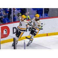 Wheeling Nailers forward Jordan Martel (left) and Matthew Quercia celebrate Martel's goal