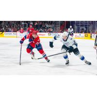 Victoria Royals defenceman Nate Misskey (right)