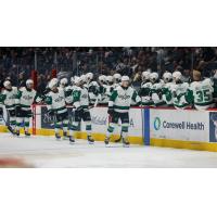 Texas Stars on game night