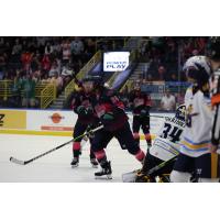 Florida Everblades' Kyle Neuber on the ice