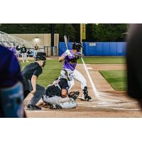 Biloxi Shuckers at bat