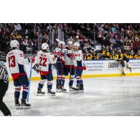 South Carolina Stingrays celebrate win