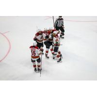 Tucson Roadrunners on game night