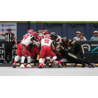 Jacksonville Sharks battle the Tucson Sugar Skulls