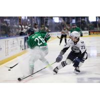 Florida Everblades forward Kyle Betts vs. the Jacksonville Icemen