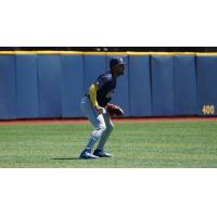 Montgomery Biscuits in the outfield