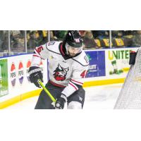 Adirondack Thunder forward Dan Ebrahim
