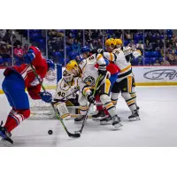 Wheeling Nailers defend their goal against the Trois-Rivières Lions