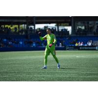 Chattanooga FC goalkeeper Eldin Jakupović