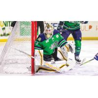 Maine Mariners goaltender Nolan Maier