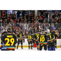 New Mexico Ice Wolves celebrate with their fans