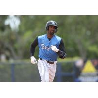 Tampa Tarpons left fielder Dillon Lewis
