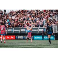 Tanya Boychuk celebrates her goal for the Montreal Roses