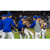 Tulsa Drillers celebrate win